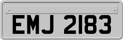 EMJ2183