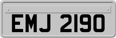EMJ2190