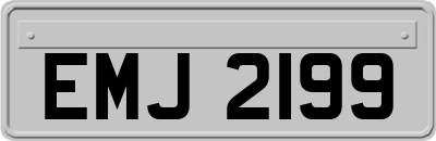 EMJ2199