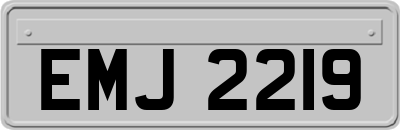 EMJ2219