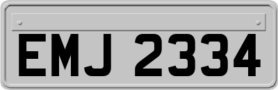 EMJ2334