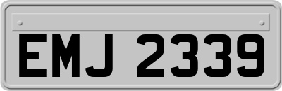 EMJ2339