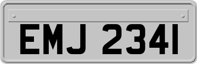 EMJ2341