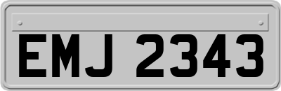 EMJ2343