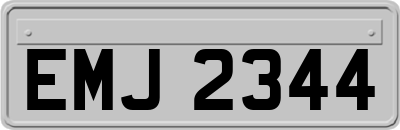 EMJ2344