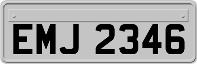 EMJ2346