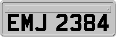 EMJ2384