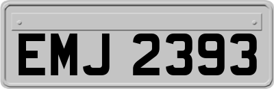 EMJ2393