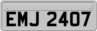 EMJ2407