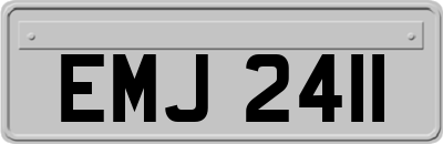 EMJ2411