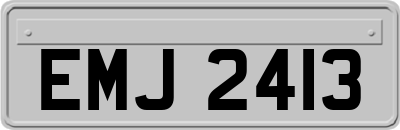 EMJ2413