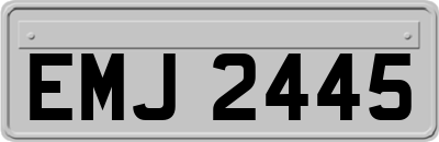EMJ2445
