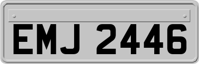 EMJ2446