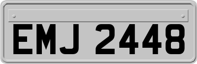 EMJ2448