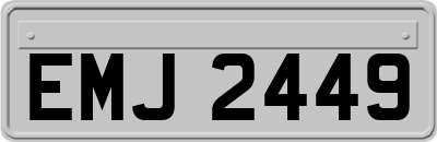 EMJ2449