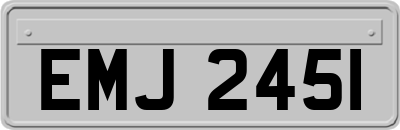EMJ2451