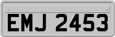 EMJ2453