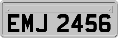 EMJ2456