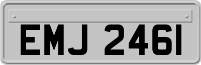 EMJ2461