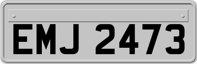 EMJ2473