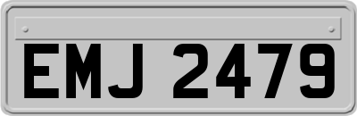EMJ2479