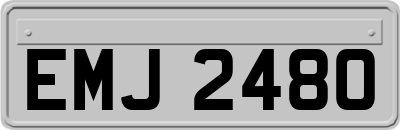 EMJ2480