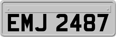 EMJ2487