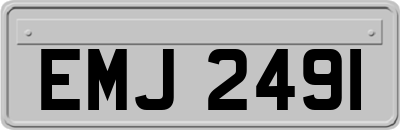 EMJ2491