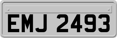 EMJ2493