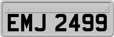 EMJ2499