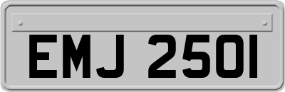 EMJ2501
