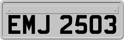 EMJ2503