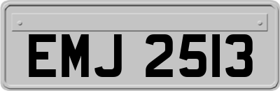 EMJ2513