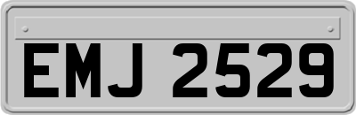 EMJ2529