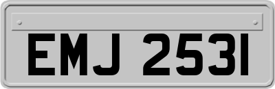 EMJ2531