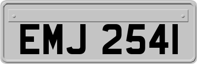 EMJ2541