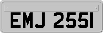 EMJ2551