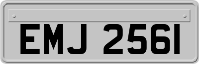 EMJ2561