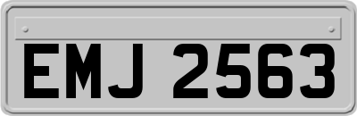 EMJ2563