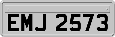 EMJ2573