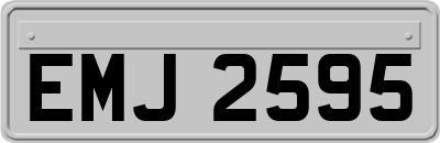EMJ2595
