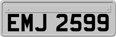 EMJ2599