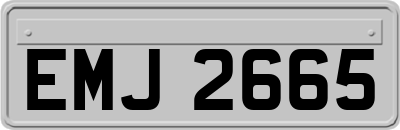 EMJ2665