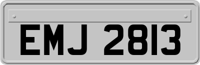 EMJ2813