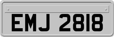 EMJ2818