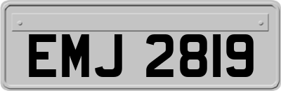 EMJ2819