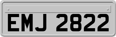 EMJ2822