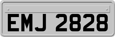EMJ2828