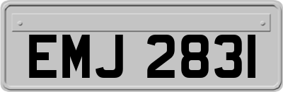 EMJ2831