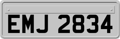 EMJ2834